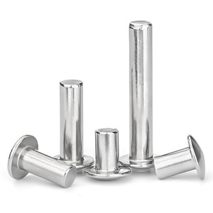 Remache Sólido de Cabeza Semicircular de Acero Inoxidable 304 Fabricado en Fábrica - ¡Gran Oferta! - Product Image 2