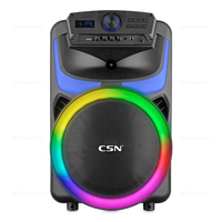 JBO-1260 12 Zoll 40W RMS Trolley-Lautsprecher RGB-Ringlicht Karaoke-Party-Lautsprecher mit Mikrofon für Draußen
