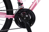 Nouveau modèle de VTT 29 pouces avec cadre en alliage d'aluminium de Chine / cadre à suspension VTT 29 pouces Trinx / vélo en gros pour homme