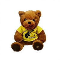 Ours en peluche super doux personnalisé parlant et chantant avec oreilles mobiles, recharge USB, doublure en maille, haut-parleur de haute qualité