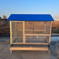 Cage à poules pondeuses galvanisée anti-corrosion avec alimentation automatique pour l'élevage commercial de volailles et la gestion de l'élevage de poules pondeuses