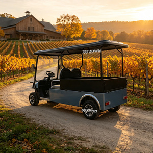Carro de golf eléctrico silencioso para 2 personas, todoterreno, con neumáticos de alta resistencia para uso comercial en clubes de golf comunitarios - Product Image 1