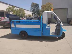 Tricycle électrique à carrosserie ouverte, 60V, <span class=keywords><strong>moto</strong></span>, acier, aluminium, passager, 3 roues, homologation CEE COC Europe, charge utile de 400kg - Product Image 5