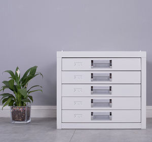 الأنسجة النباتية الصدأ واقية مختبر المستشفى البارافين كتلة خزانة الشمع دولاب - Product Image 5