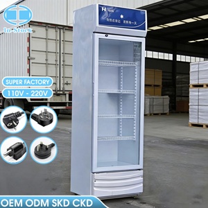 Réfrigérateur Commercial Vertical OEM 288L à Porte Unique pour Bar à Glace, Bières Red Bull et Boissons – <span class=keywords><strong>Prix</strong></span> Usine - Product Image 1