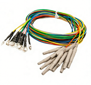 H256 <span class=keywords><strong>EEG</strong></span>-Gerät NE-134A Elektrode Ag Collodion Größe 10mm Durchmesser 1,5mm Berührungssicherer Anschluss Neu Original - Product Image 1
