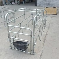 Cage de mise bas économique pour truies 2,2*0,7m, lit simple pour truies, positionnement des truies, ferme d'élevage avec abreuvoir en acier inoxydable en option