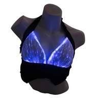 Sous-vêtements de soutien-gorge à fibres optiques lumineuses pour femmes lumière LED Costume de danse du ventre arabe sexy pour les fêtes