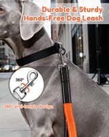 Laisse pour chien personnalisée mains libres, solide, souple et tendance, avec double poignée et support lombaire pour grands chiens, pour la marche et le jogging