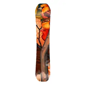 Fibra de vidro de montanha burton snowboard