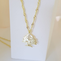 Collier personnalisé en cèdre du Liban imperméable, acier inoxydable 316L, pendentif drapeau du Liban, bijoux libanais à la mode