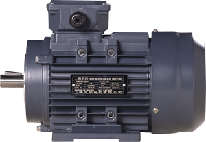 Động cơ 380V 3 giai đoạn không đồng bộ AC động cơ 4Kw CE chứng nhận cho nuôi trồng thủy sản thiết bị - Product Image 4