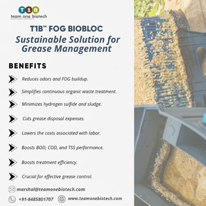 Équipement de cuisine commerciale : Bio-block pour la gestion efficace des graisses et des huiles - Product Image 1