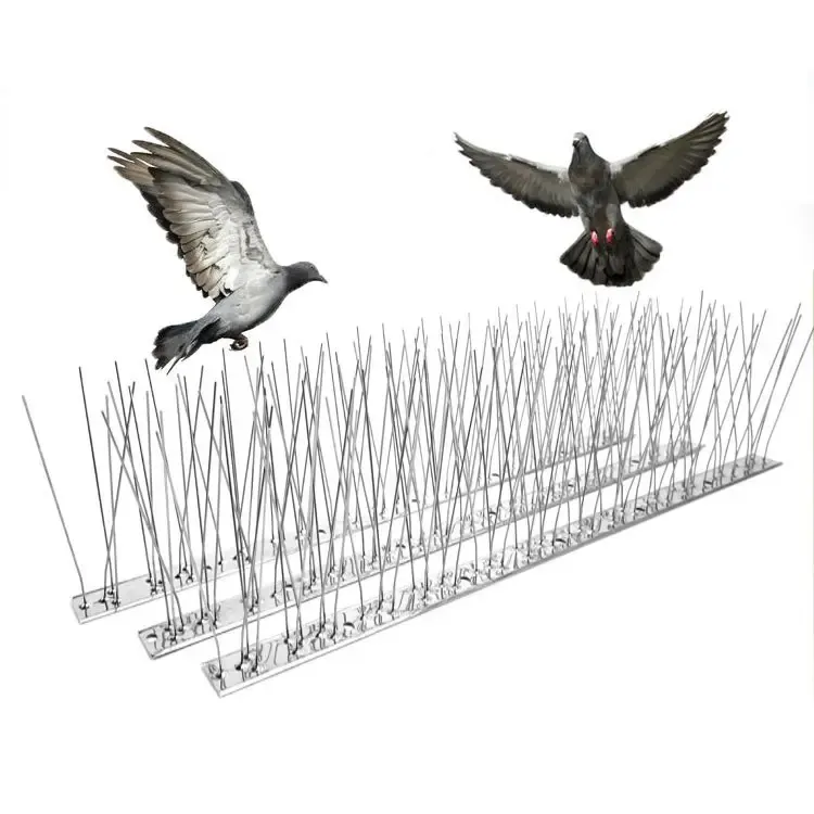 Raccoglitori di uccelli utilizzati nel frutteto repellente In acciaio inossidabile Anti-uccello Spikes prodotti per il controllo dei parassiti degli uccelli
