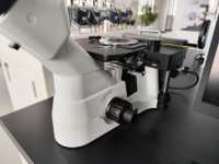 Factory Direct: Advanced Inverted Metallographic Microscope | 500x Zoom, CE Certified, Auto-Software Included (Ships Worldwide)