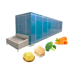 Cold Room For Meat Industrial Blast Freezers Small Iqf Freezer