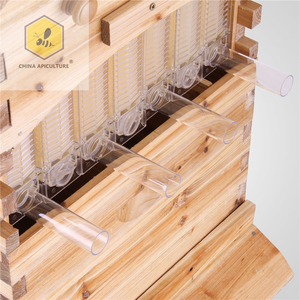 Herramientas de Apicultura, Nueva <span class=keywords><strong>Colmena</strong></span> de Flujo, Equipo de Apicultura, <span class=keywords><strong>Colmena</strong></span> de Abejas de 10 Cuadros con 7 Cuadros de Flujo - Product Image 2