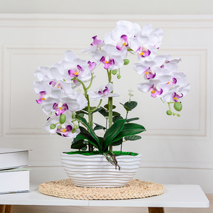 Orchidée Phalaenopsis Artificielle Réaliste en Pot, Double Tige, Composition Florale en Soie pour Décoration de Table Maison et Bureau, Style Nordique - Product Image 2