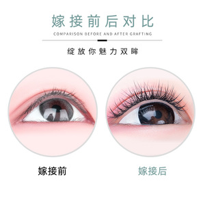 Extensiones de Pestañas Lakanaku Fishtail de 10-12 mm, Pestañas Postizas Naturales Suaves Hechas a Mano para Injerto - Product Image 3