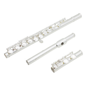 <span class=keywords><strong>Flûte</strong></span> à 16 trous, accordage en Do, clé Mi, instrument pour étudiants et adultes débutants, produit transfrontalier très vendu - Product Image 3