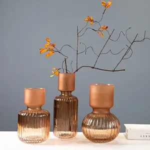 Atacado vasos home decor vintags-Vaso de vidro colorido, vaso para sala de estar, personalidade nórdica, vintage, fosco, flor, champagne