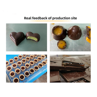 Machine de production de chocolat entièrement automatique, mini-déposeuse de chocolat à une seule dose, ligne de production de chocolat, machine à fabriquer du chocolat