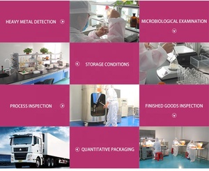 स्प्रे सूखे बेट्रोट पाउडर - Product Image 4