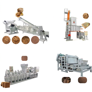 Línea Completa de Producción de Fibra de Coco Marrón, Empacadora de Fibra de Coco, Máquina Prensa de Bloques de Coco, Motor, Caja de Cambios - Product Image 1