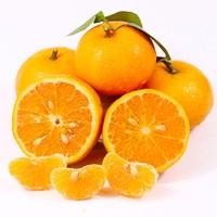 Exportateurs de fruits, fournisseurs de mandarines Wogan fraîches, achat de mandarines Orah biologiques à prix de gros