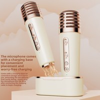 C-220 PLUS Haut-parleur Karaoké Portable Mini Hifi à Succès, Changeur de Voix DJ pour Fêtes, Double Micro Magnétique Rechargeable
