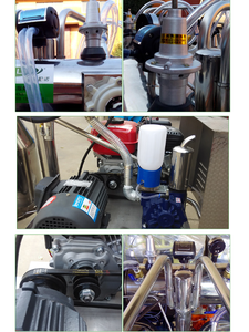 Vendita Diretta dalla Fabbrica: Pompa per Vuoto <span class=keywords><strong>a</strong></span> Palette Rotanti, Carrello per Mungitura, Macchina per Mungitura in Acciaio Inox, Mungitrice per Asini e Cammelli. - Product Image 6