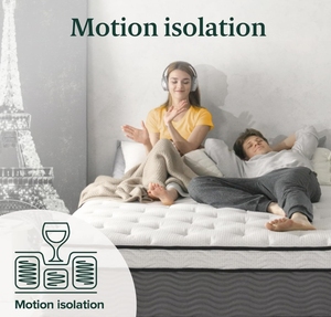 Alta qualità Euro Top Pocket molle materasso personalizzabile formato letto compresso Roll Box copertura rimovibile <span class=keywords><strong>per</strong></span> la scuola camera da letto di sonno - Product Image 4