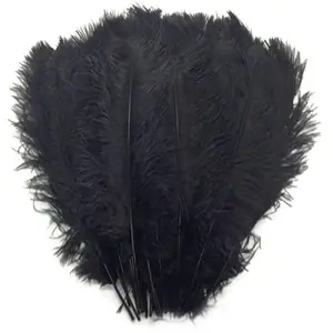 Plumes noires, lot de 200 plumets colorés bon marché, 20-65 cm, tige fine, vente en gros, d'autruche, drapé