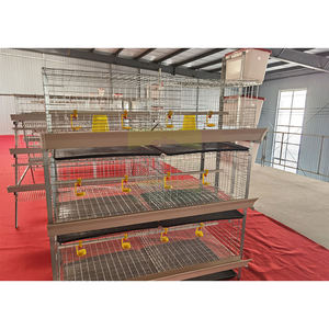 GREAT FARM Gabbia Commerciale per Polli da Carne a 3 Livelli, 6 Porte, Resistente, Zincata a Freddo, Attrezzatura Avicola per 54-60 Polli - Product Image 2