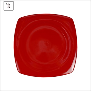 Assiettes et plats carrés jetables en mélamine de 8,5 pouces, réutilisables et économiques pour le camping - Product Image 2