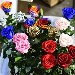 Big Order Low Price Preserved Stem Roses 50 cm Long Stems Wholesale Preserved Rose with Stem For Wedding Decoration