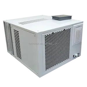 21,000 Btu 230 Volt Raam Airconditioners
