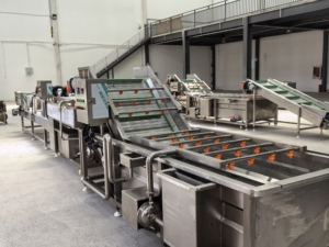 Usine de transformation industrielle des légumes GUTEDA - Solution de ligne de production complète pour les jus de tomate, pomme, mangue, <span class=keywords><strong>avocat</strong></span> et baies - Product Image 2