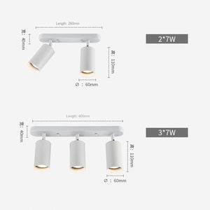 Projecteur de Rail de Plafond en Aluminium 20W COB LED Projecteurs de Rail de Spot - Product Image 2
