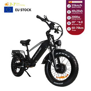 Vélo électrique pliable à gros pneus de 20 pouces, 48V 2000W 20Ah, en stock dans l'UE, pour adultes, vélo de ville - Product Image 1