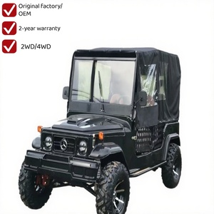 Véhicule Jeep Électrique Classique de Marque Propre à Bas Prix, Tout-Terrain, Montagne, Plage, Occasion, 2/4/6 Places, Certifié CE - Product Image 6
