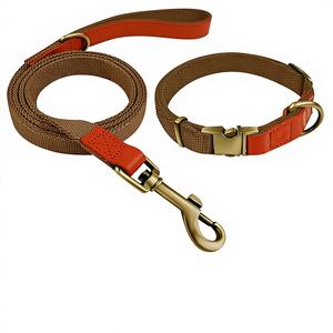 Ensemble laisse et collier pour oiseaux Qianruida en nylon avec lumières - Durable, réglable, fermeture solide, confortable pour la promenade - Product Image 1