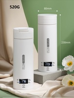 Bouilloire à eau portable à température constante et maintien au chaud, tasse à eau bouillante de voyage, pour dortoir et usage domestique