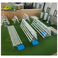 Système hydroponique multi-couches en tuyaux PVC, en promotion |   Solution de serre modulaire pour la culture verticale de fraises et d'herbes