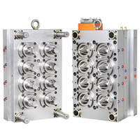 Fabricant chinois de moules pour préformes PET proposant des moules à haute cavitation, un temps de cycle stable et une finition de col précise - Taoyuan TY-8Jar Hot