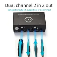 Suppresseur de rétroaction anti-hurlement à deux canaux pour microphone, éliminateur de rétroaction pour système audio de karaoké à domicile