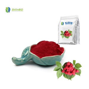 Chất lượng cao <span class=keywords><strong>Raspberry</strong></span> hương vị nước ép trái cây tập trung bột <span class=keywords><strong>Raspberry</strong></span> bột trái cây màu đỏ <span class=keywords><strong>Raspberry</strong></span> bột - Product Image 3