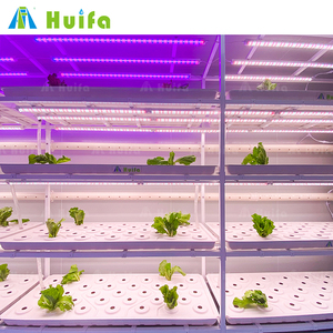 HUIFA Agriculture automatisée Fraise Verticale Assemblé Intérieur Salle de Culture Hydroponique Expédition Conteneur Ferme - Product Image 5