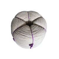 Vente en gros, cordon torsadé coloré à 3 brins de 8mm, corde en coton, cordon en macramé pour suspension murale, cintres pour plantes, artisanat, jouets pour animaux de compagnie