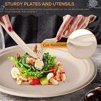 Plateau à gâteaux compostable pour four Assiettes en papier Ensemble 250PCS Assiette et ustensile jetables Vaisselle biodégradable pour la canne à sucre de fête